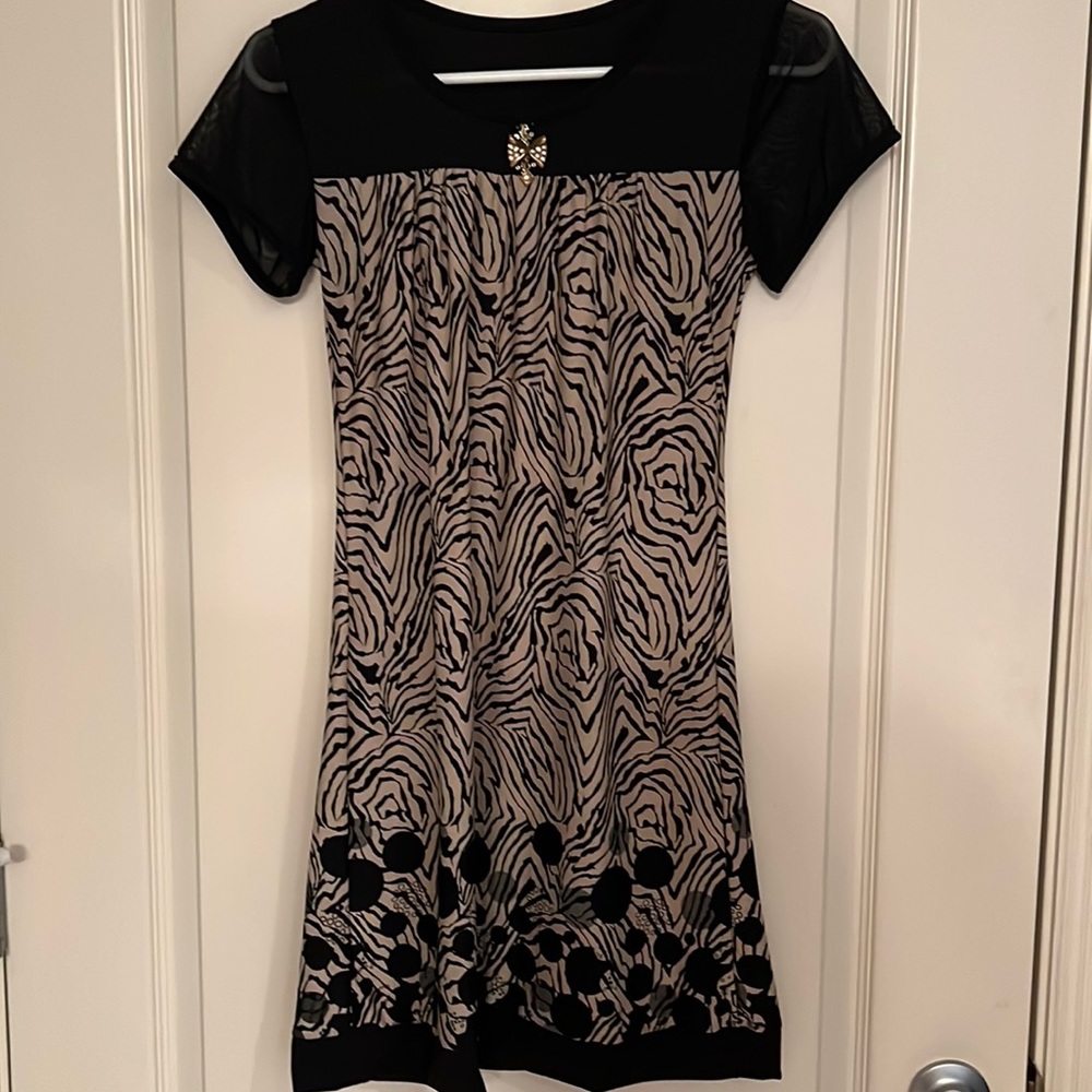 Cute mini dress with sheer cap sleeves